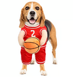 Halloween Dog Costume Basketball Outfit
