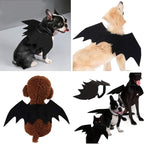 Halloween Dog Costume Bat Wings