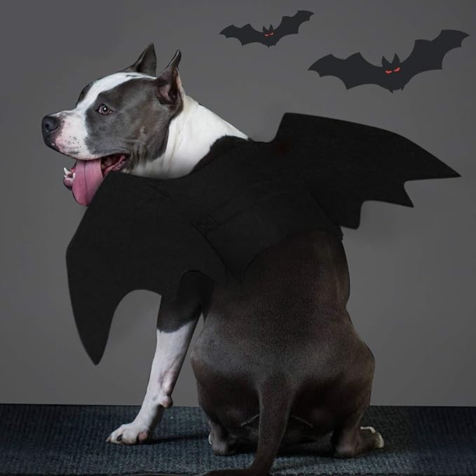 Halloween Dog Costume Bat Wings