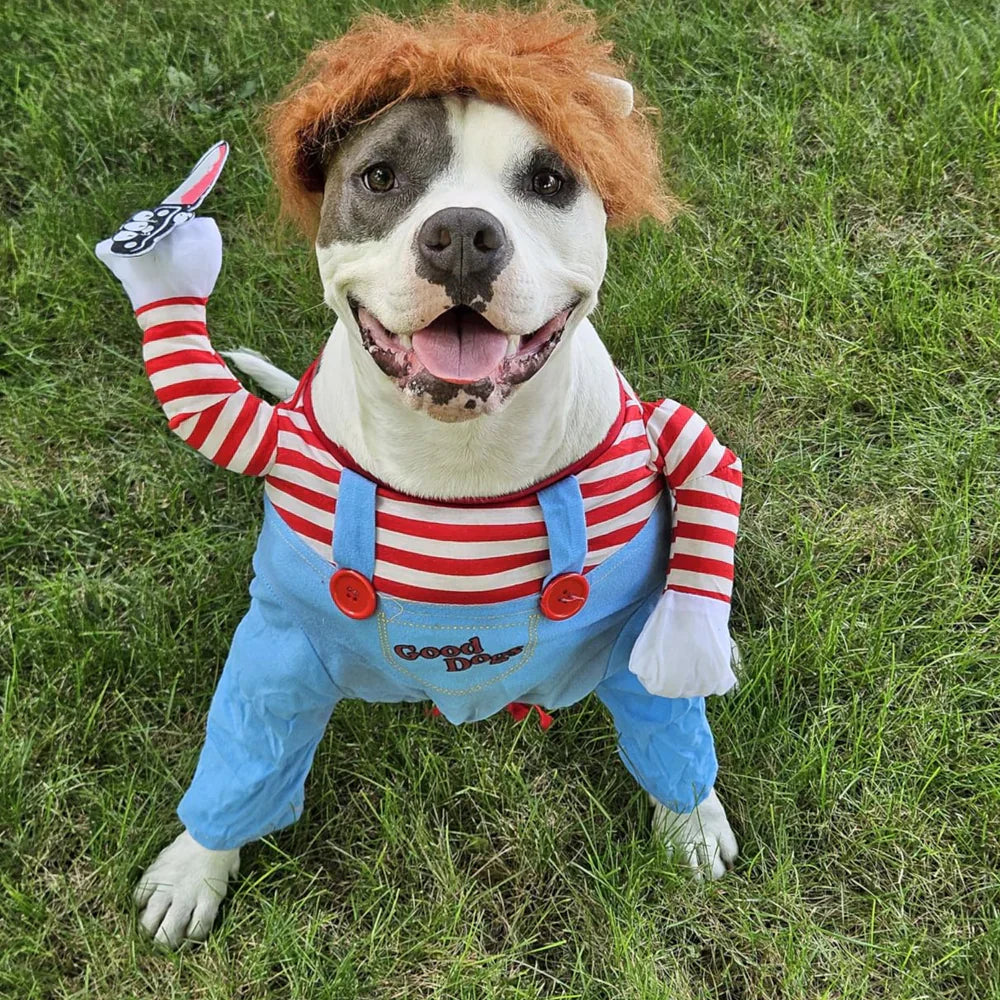 Halloween Dog Costume Funny Pet Outfit