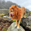 Halloween Dog Costume Lion Mane Wig