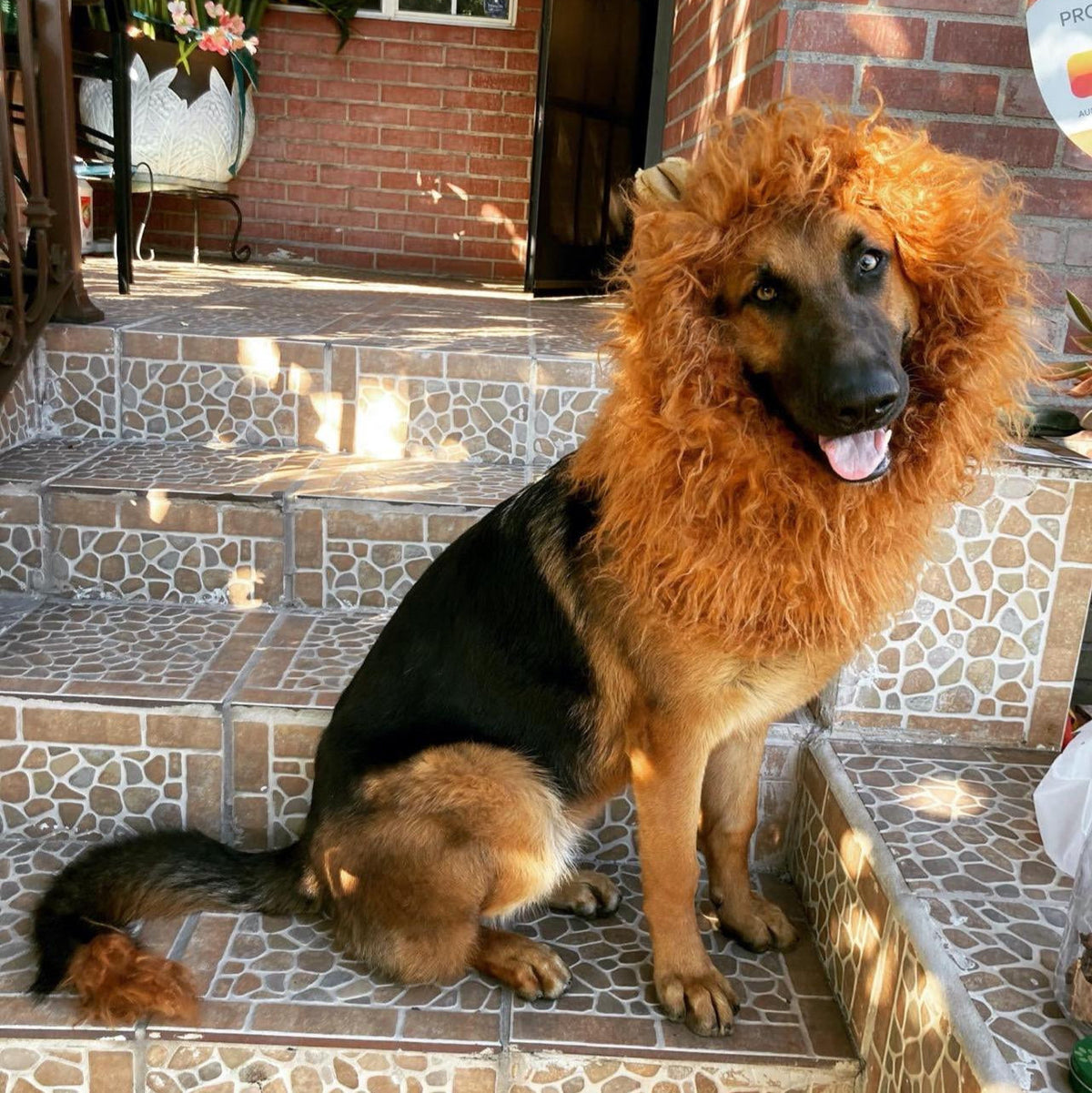 Halloween Dog Costume Lion Mane Wig