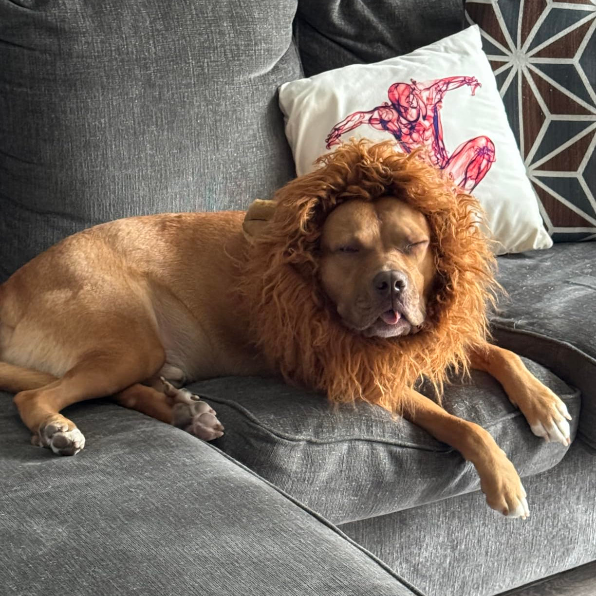 Halloween Dog Costume Lion Mane Wig