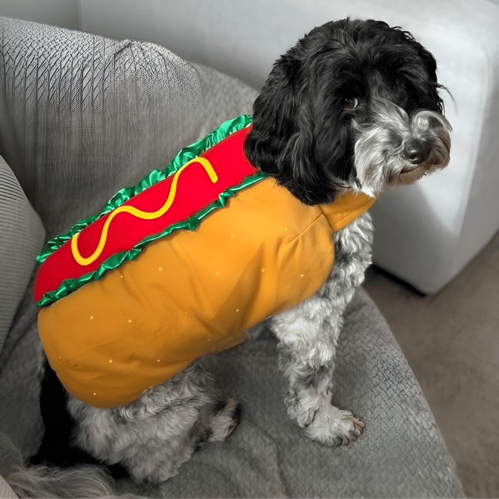 Halloween Hot Dog Pet Costume