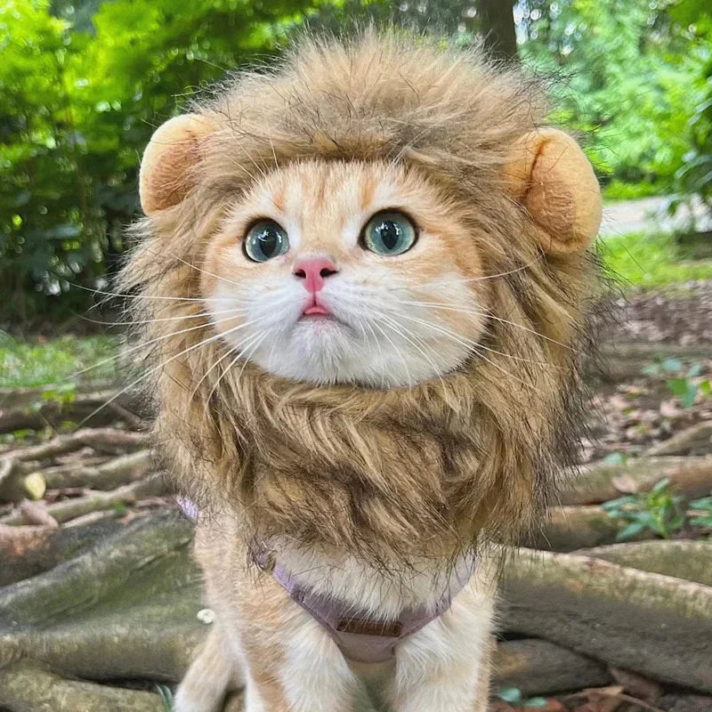 Halloween Lion Mane Cat Costume