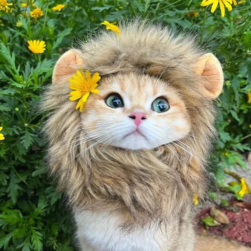 Halloween Lion Mane Cat Costume