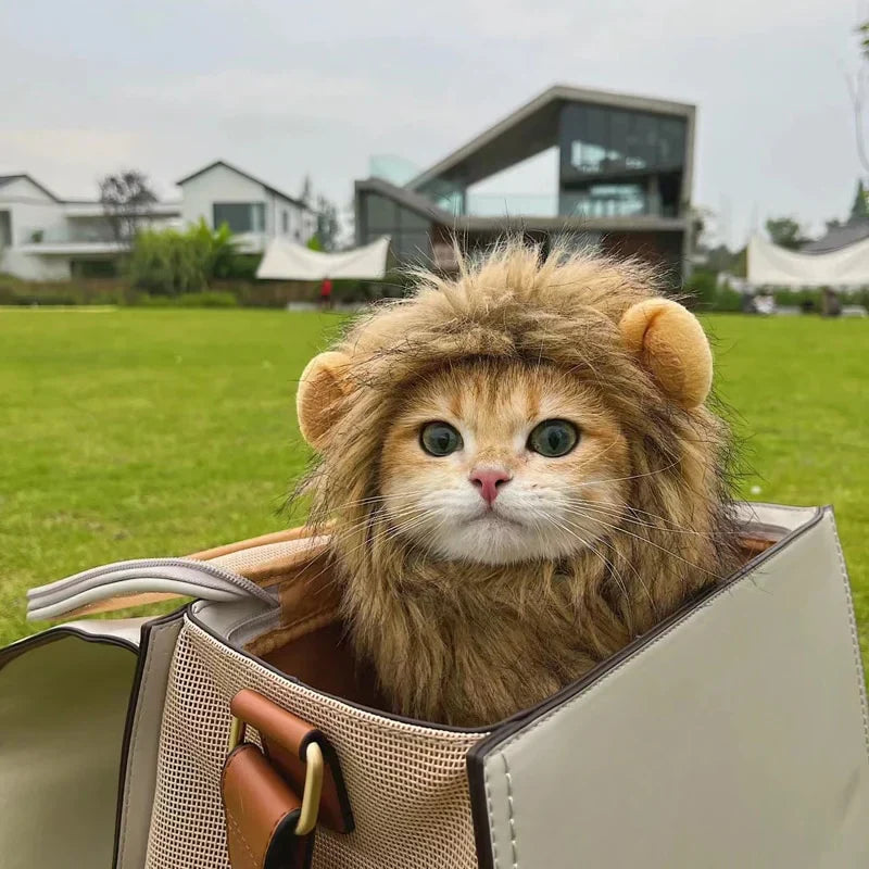 Halloween Lion Mane Cat Costume