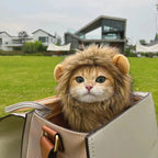 Halloween Lion Mane Cat Costume