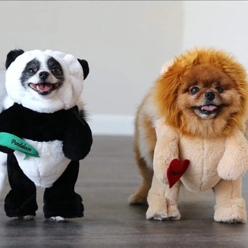 Halloween Panda Dog Costume Outfit