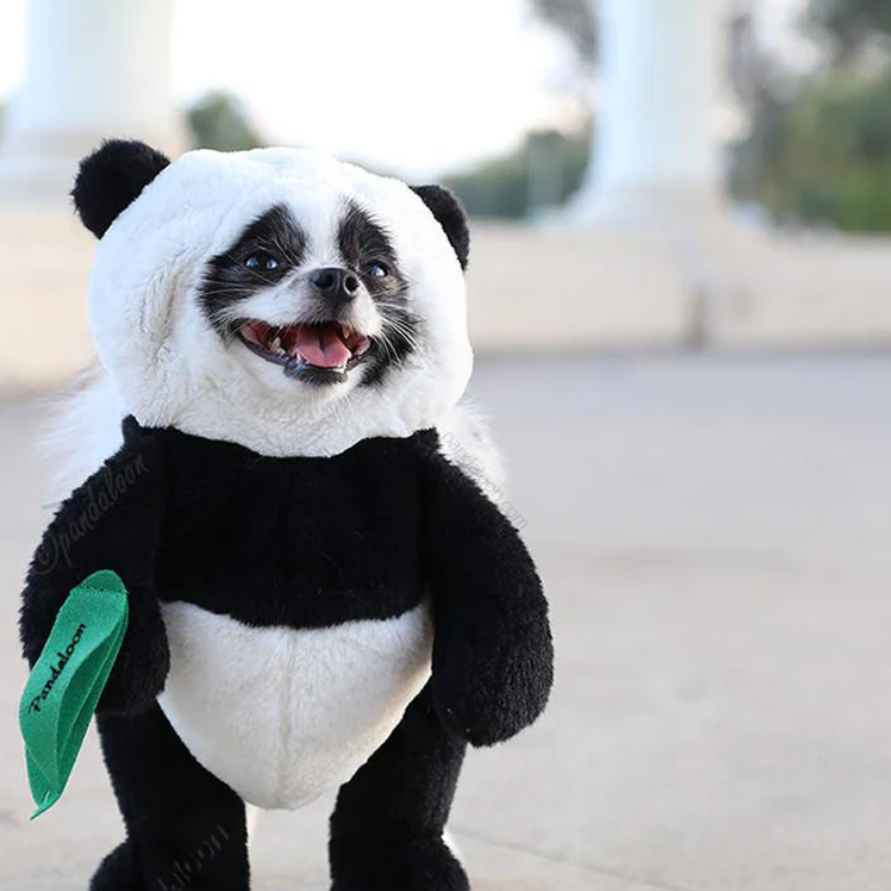Halloween Panda Dog Costume Outfit