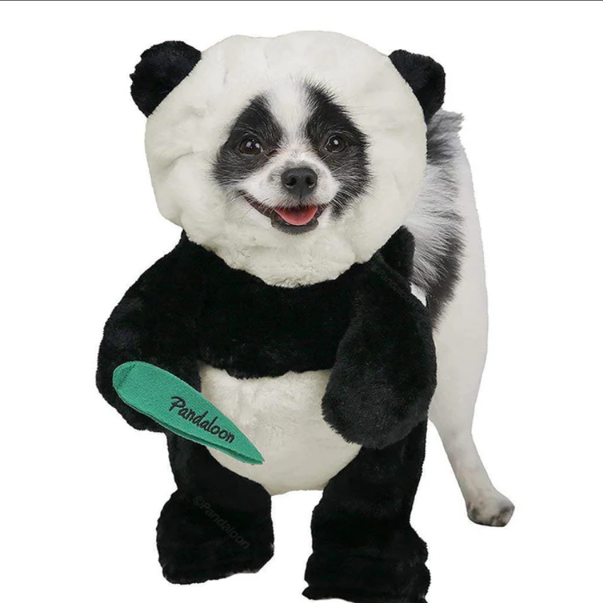 Halloween Panda Dog Costume Outfit