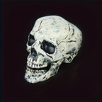 Halloween Skull Outdoor Decoration Prop