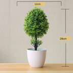 Small Tree Pot Bonsai Plants