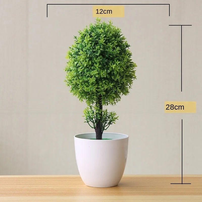 Small Tree Pot Bonsai Plants