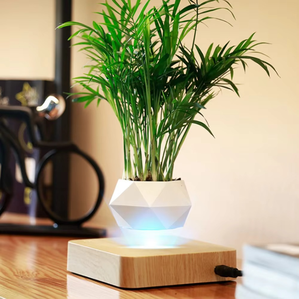 Levitating Plant Pot – Magnetic Floating Planter