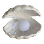 ShellGlow Lamp – Elegant Shell Lighting with Pearl
