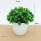 Small Tree Pot Bonsai Plants