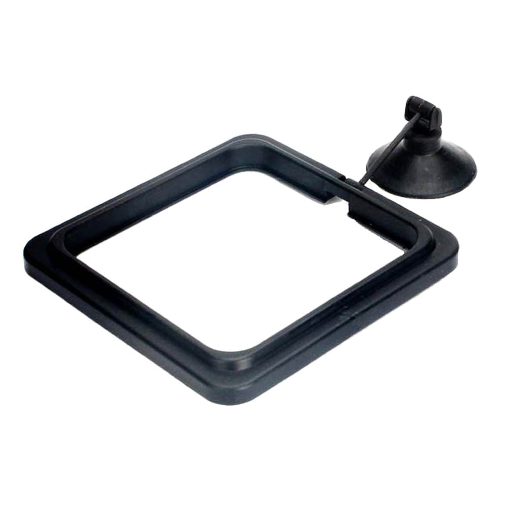 Aquarium feeding ring