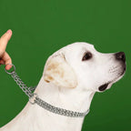 Stainless Steel Dog Training Necklace
