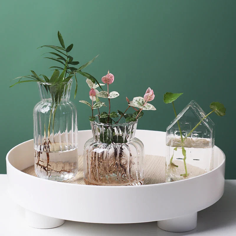Glass Vase (Various Shape)