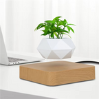 Magnetic Levitating Bonsai Planter, Floating Flower Pot for Home and Office Décor