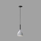 Modern Metal Pendant Light for Dining Room, Canteen, Bar, Restaurant - YANKE
