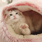 CatHaven Luxury Feline Lounge