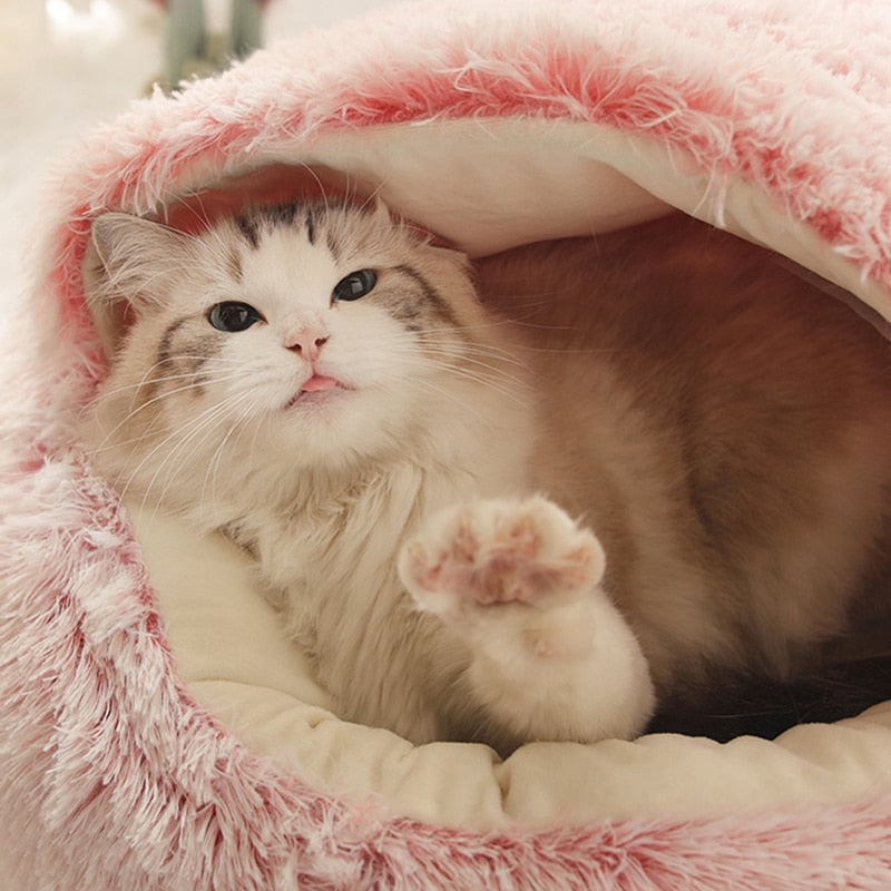 CatHaven Luxury Feline Lounge