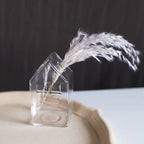 Glass Vase (Various Shape)