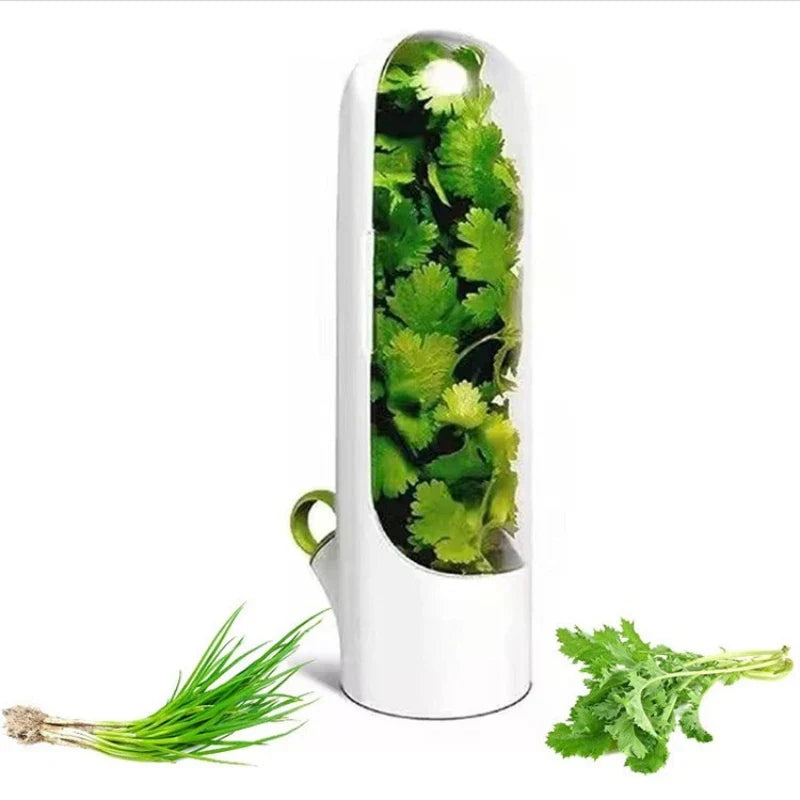 Herb storage container for fresh vanilla, vegetables, and herbs in the kitchen