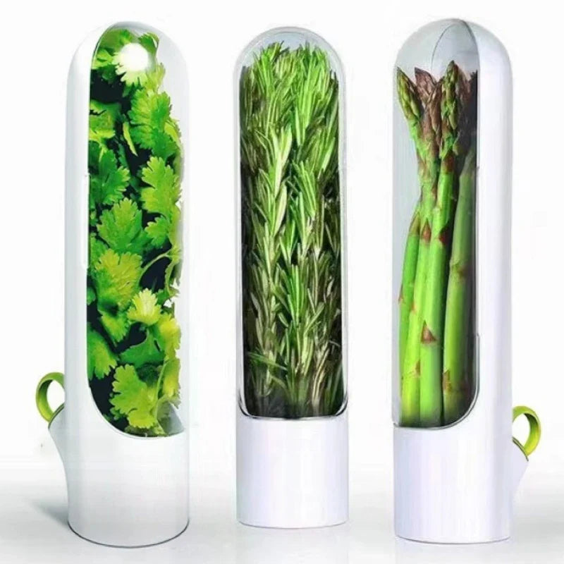 Herb storage container for fresh vanilla, vegetables, and herbs in the kitchen