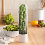 Herb storage container for fresh vanilla, vegetables, and herbs in the kitchen