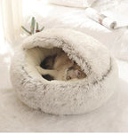 Cat bed