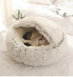 CatHaven Luxury Feline Lounge