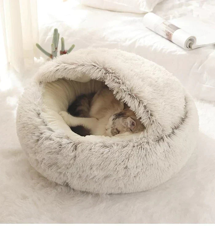 CatHaven Luxury Feline Lounge