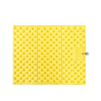 Campurio Seat & Beach Mat | Inflatable & Weatherproof | For Camping & Outdoor | Includes Carry Bag