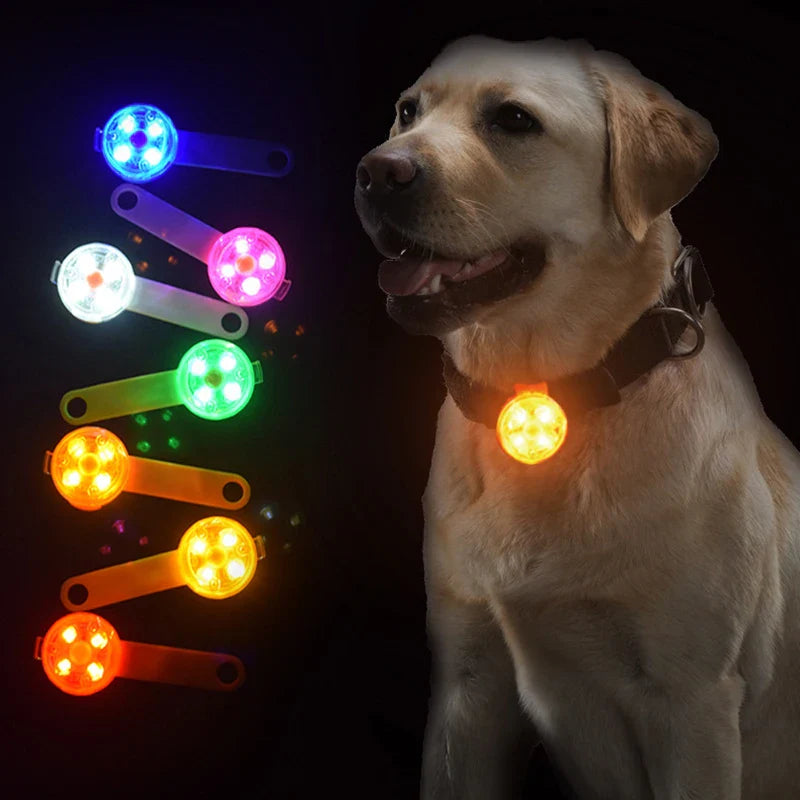 Rechargeable LED safety tag for pets