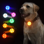Rechargeable LED safety tag for pets