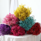 Dried Preserved Gypsophila Flower Bouquet – Natural Decor