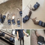 Highly sensitive mouse trap with strong spring