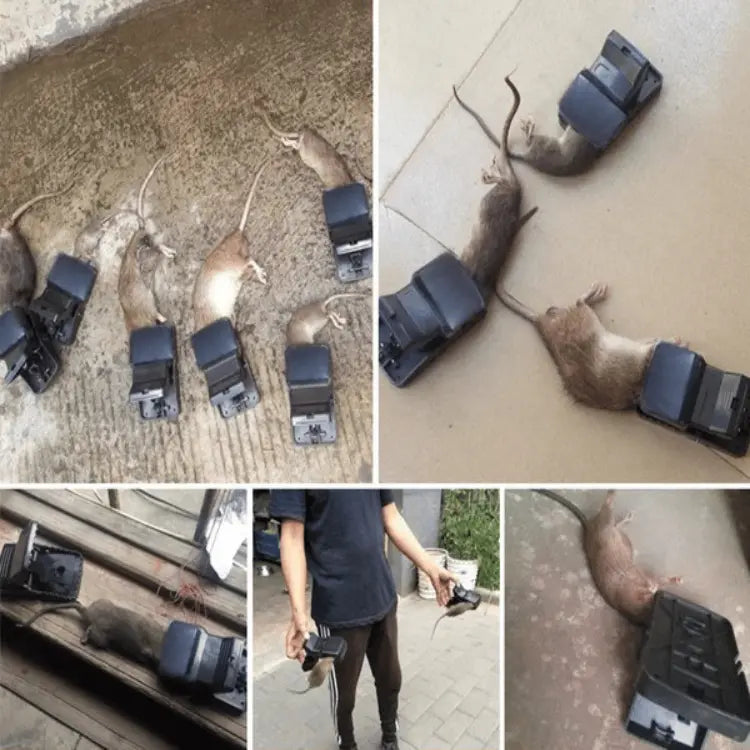 Highly sensitive mouse trap with strong spring