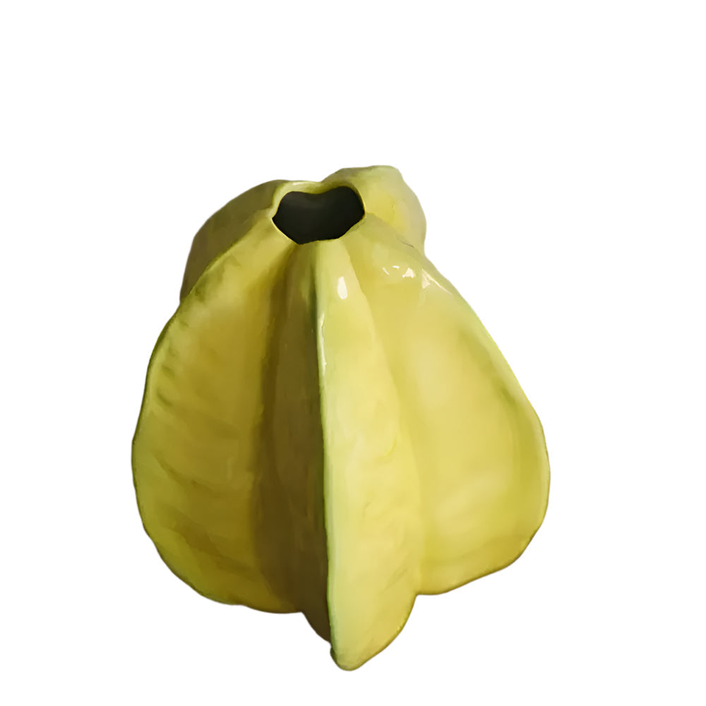 Artisanal Ceramic Flower Vase in Starfruit Shape
