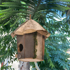 Rustic Wooden Hummingbird Birdhouse