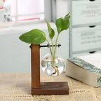 Rustic Wooden Hydroponic Plant Holder