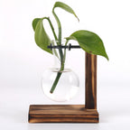 Rustic Wooden Hydroponic Plant Holder