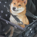 AutoPaw Elevated Dog Car Seat – Waterproof, Non-Slip and Safe for On the Go