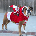 HollyPaws - cozy, adjustable Christmas outfit for dogs
