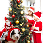 HollyPaws - cozy, adjustable Christmas outfit for dogs