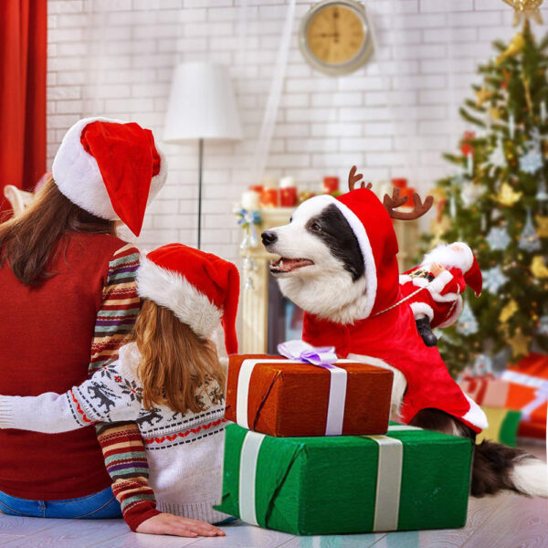 HollyPaws - cozy, adjustable Christmas outfit for dogs