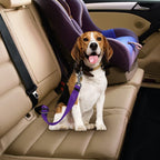 Safety seatbelt for Pets